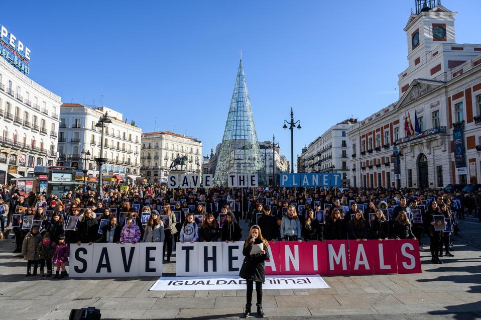 People with placards reading 'Save the animals save the planet'