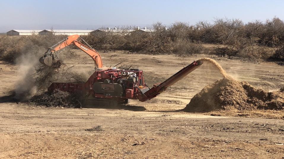 Almond Orchard Grinding