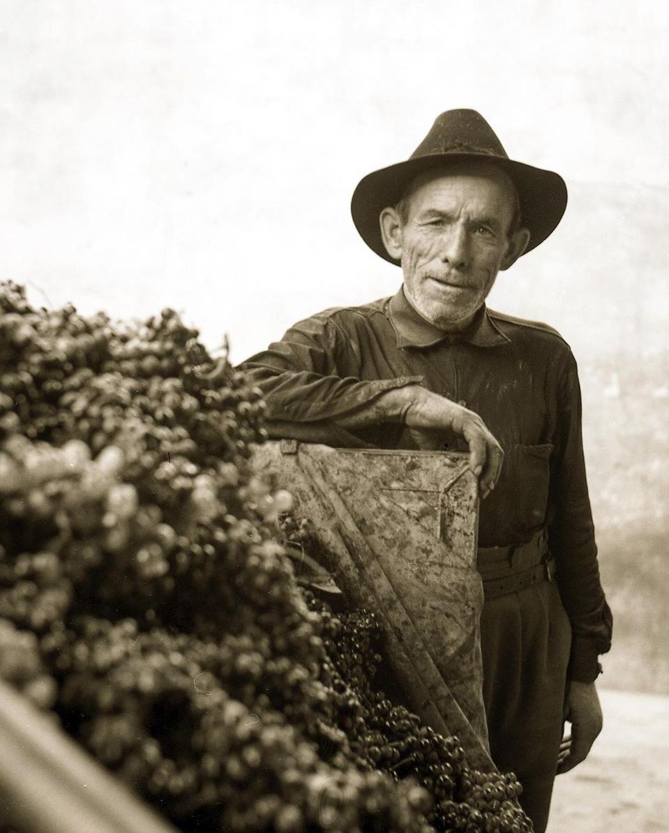 Luis Piqeras  Photo Credit Bodegas Piqueras