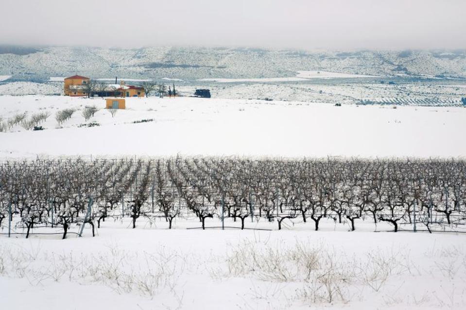 Bodegas Piqueras with surrounding vineyards during the winter  Photo Credit Bodegas Piqueras