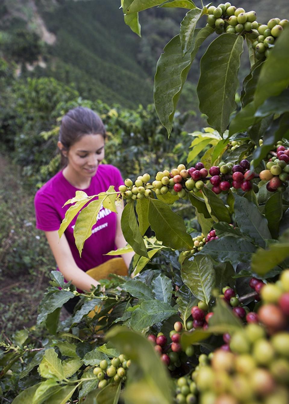 Maria Palacio is the CEO and founder of Progeny Coffee.