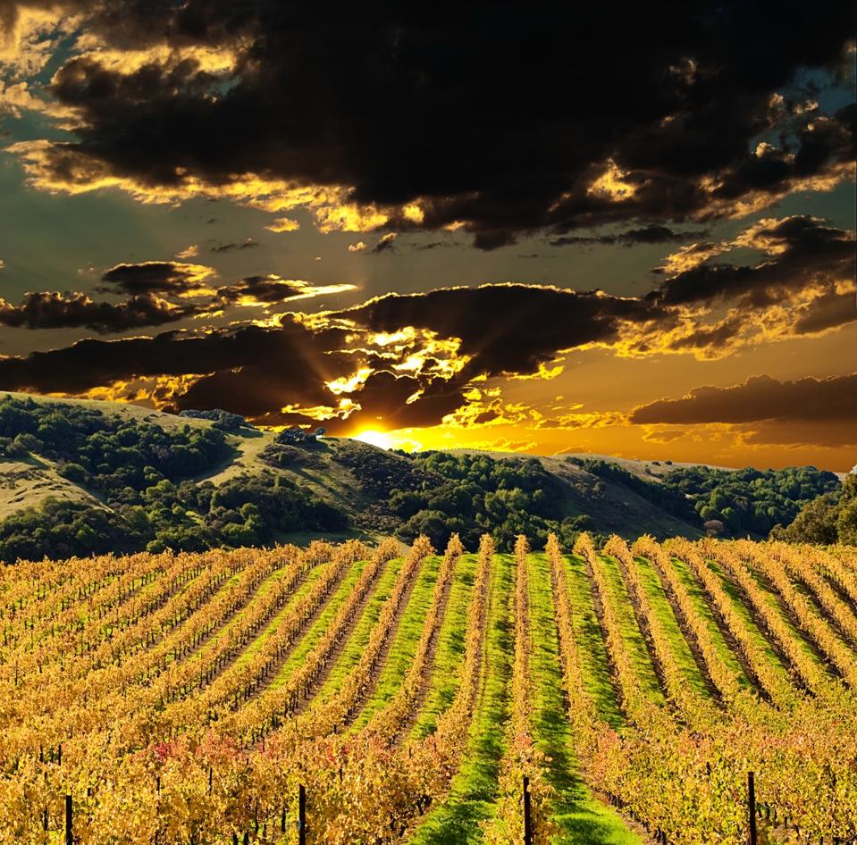 Sonoma Valley at Sunset