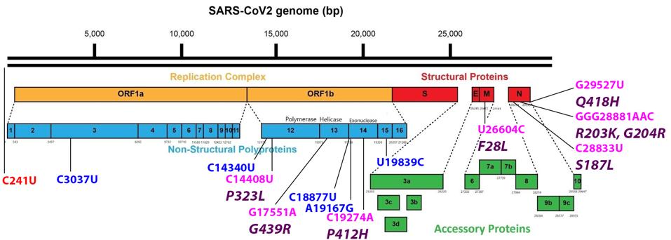 FIGURE 3