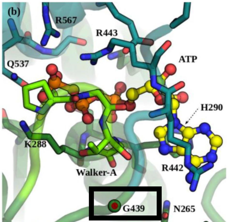 FIGURE 6