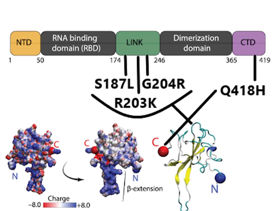 FIGURE 10