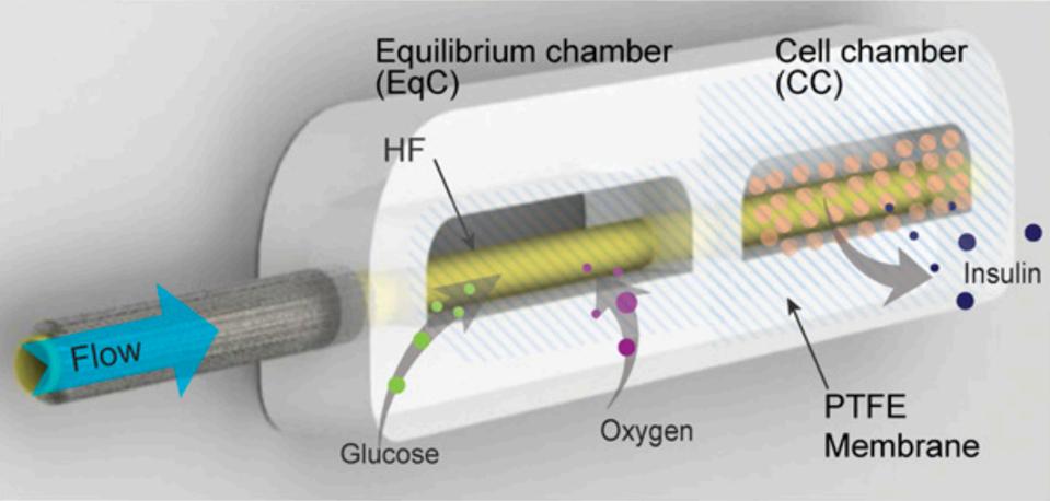 Labeled Image of device