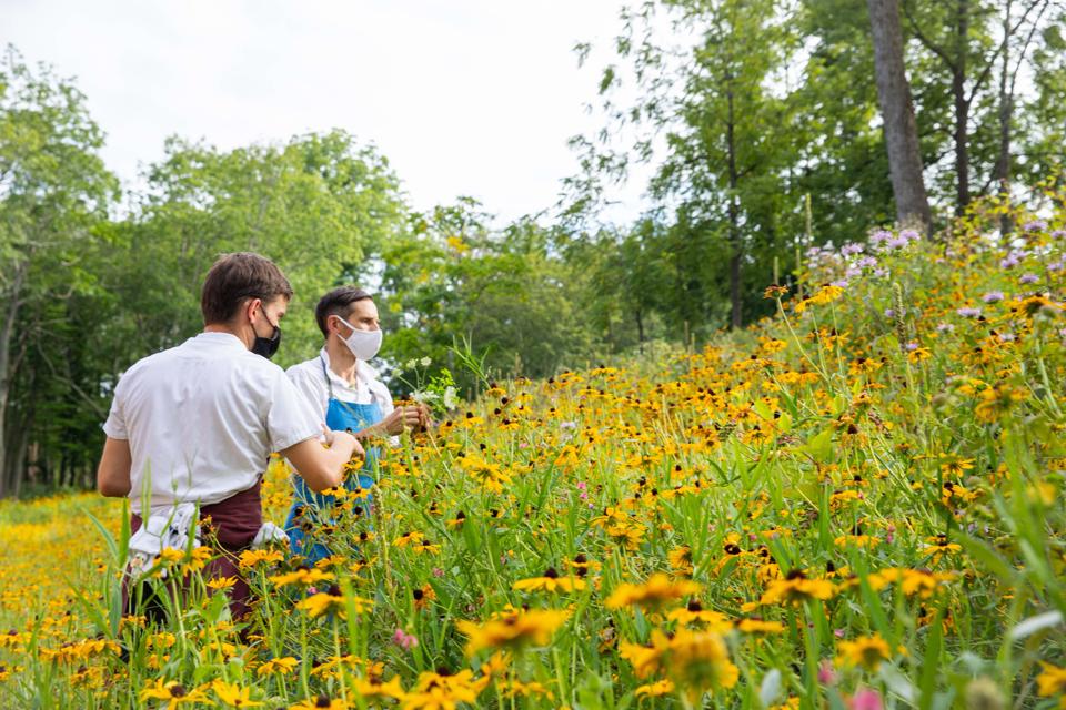 Chef Gabe McMackin foraging with chef de cuisine Vinny Gilberti