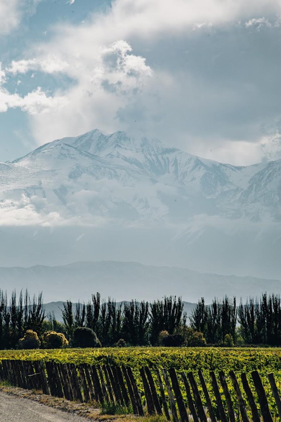 Vertical of Snowy Mountains Photo Credit Catena Zapata