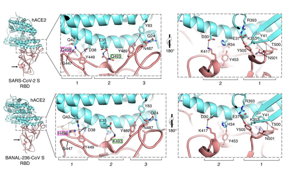 FIGURE 2