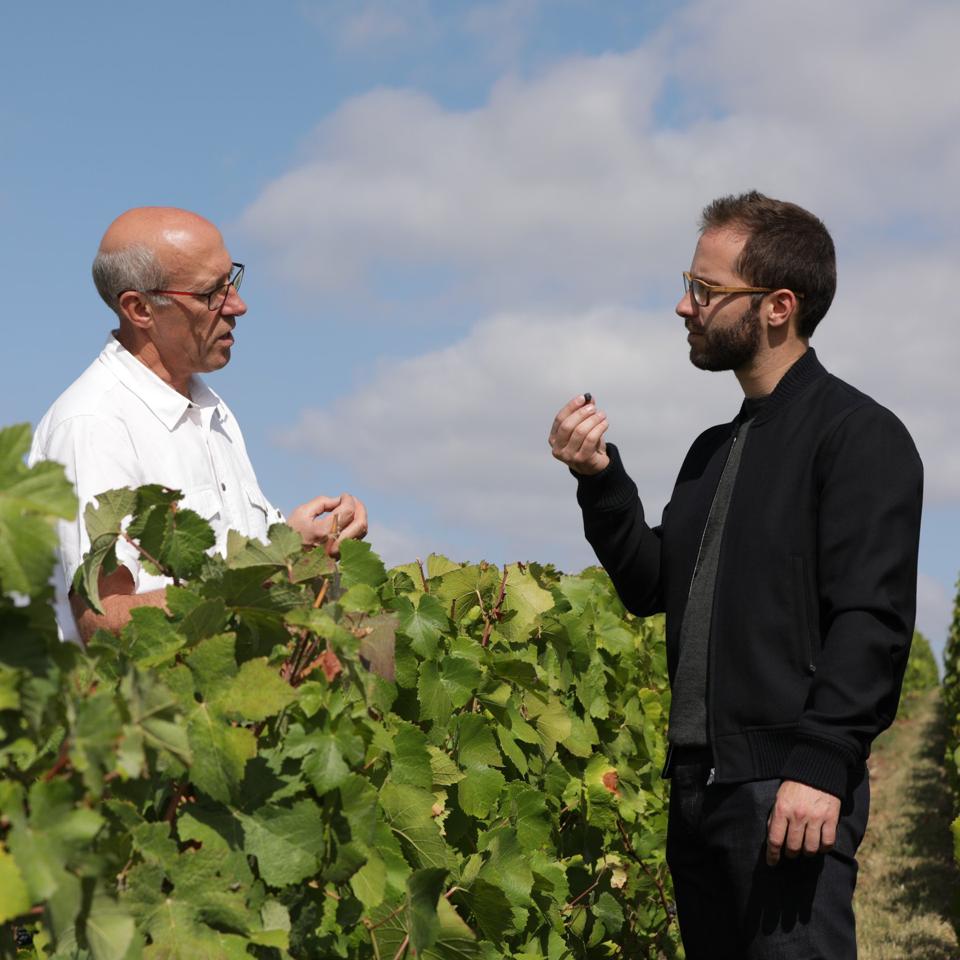 Émilien tasting grapes with a grower who Piper-Heidsieck has worked with for 20 years