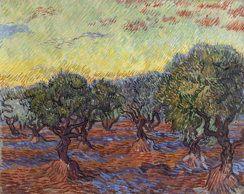 Van Gogh And The Olive Groves' Opens At Dallas Museum Of Art