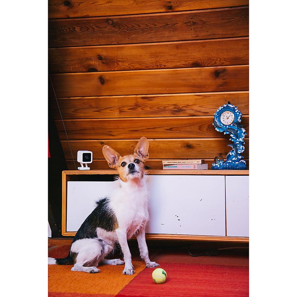 23 Great Gifts For Dog Lovers