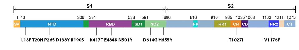 FIGURE 2