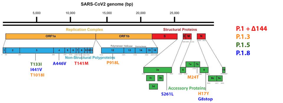 FIGURE 10