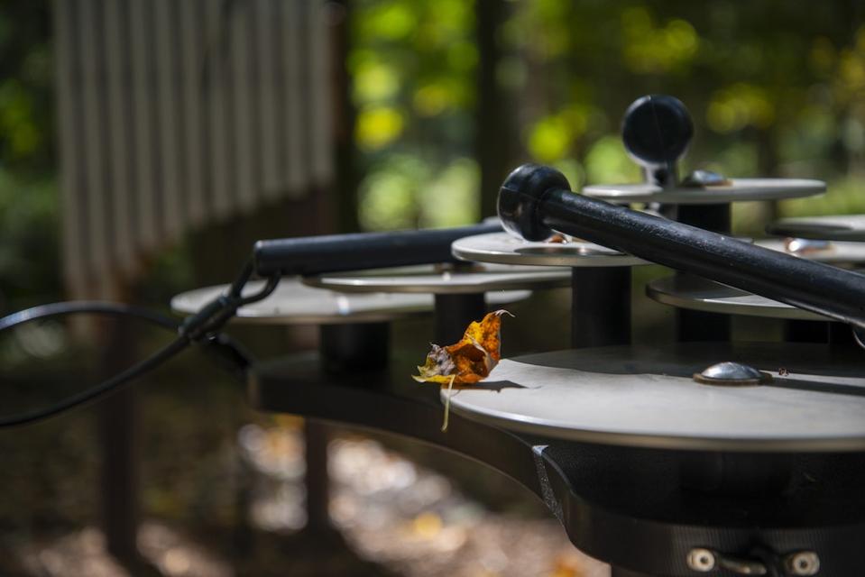 Autism Nature Trail Opens In New York’s Letchworth…