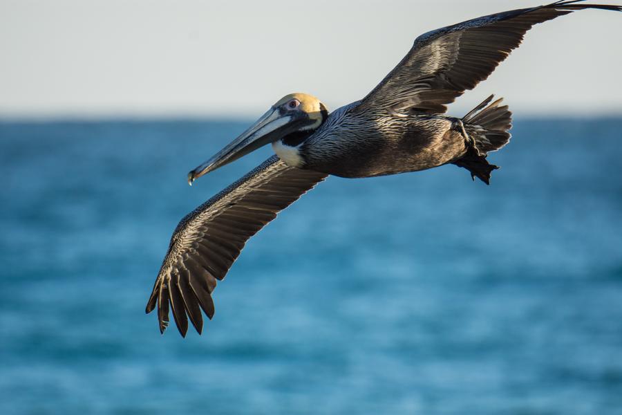 Why Stocks Will Soar 50% (And The 7 Best Funds To Get In Now)