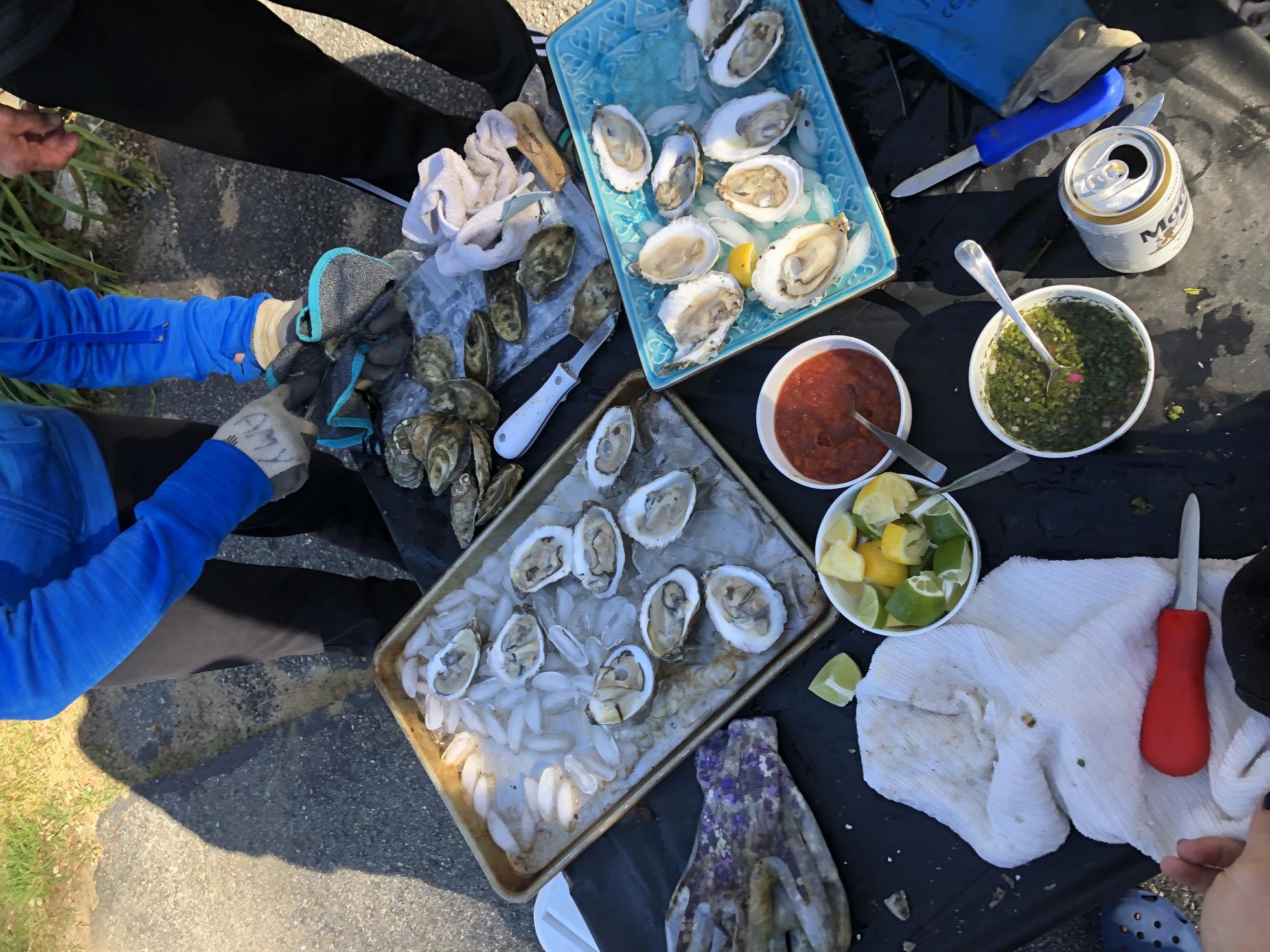 More oyster content! What's not to love?