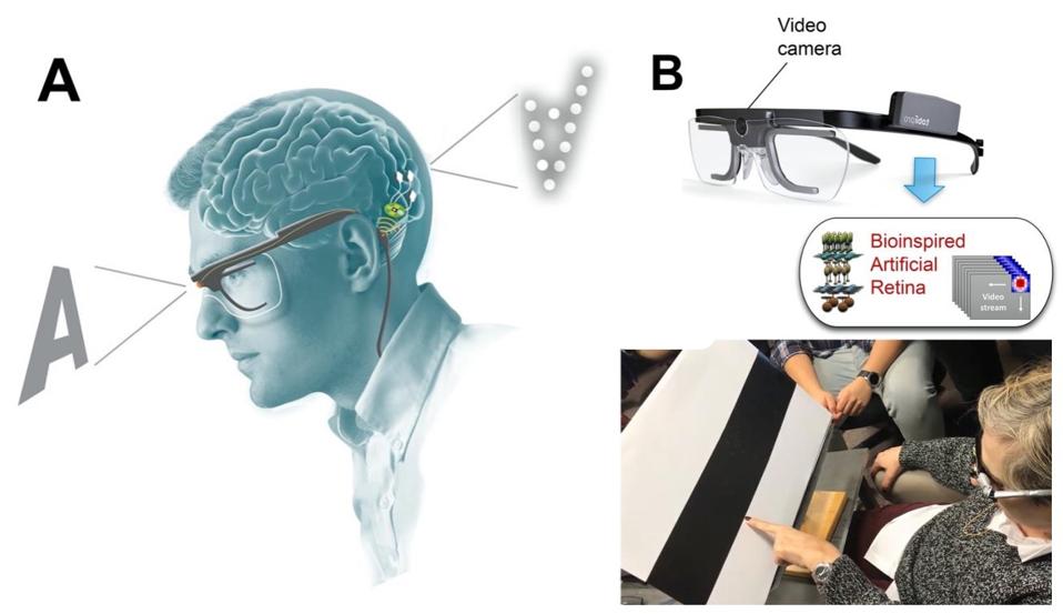 Bio-inspired retina-like visual encoder.