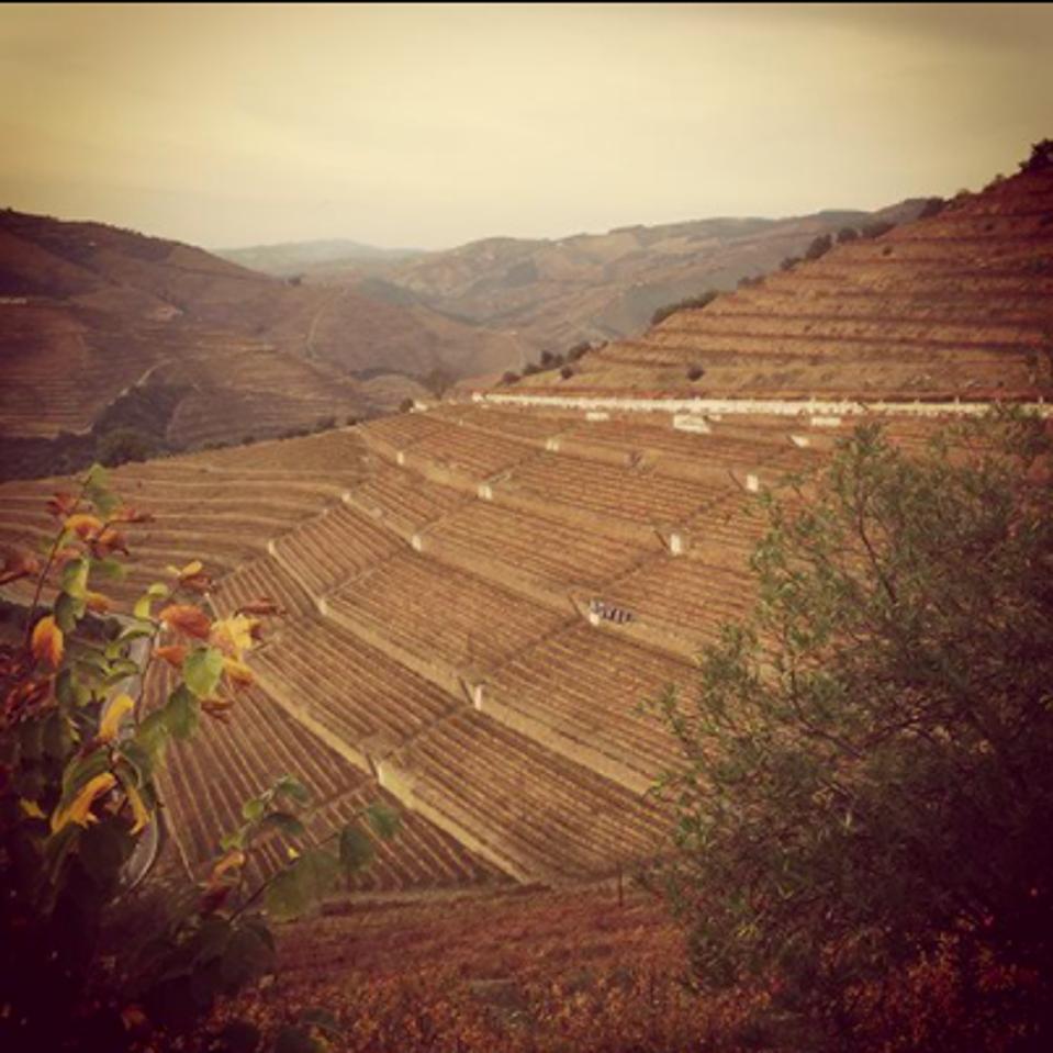 The Douro Valley vineyards have been recognized by UNESCO
