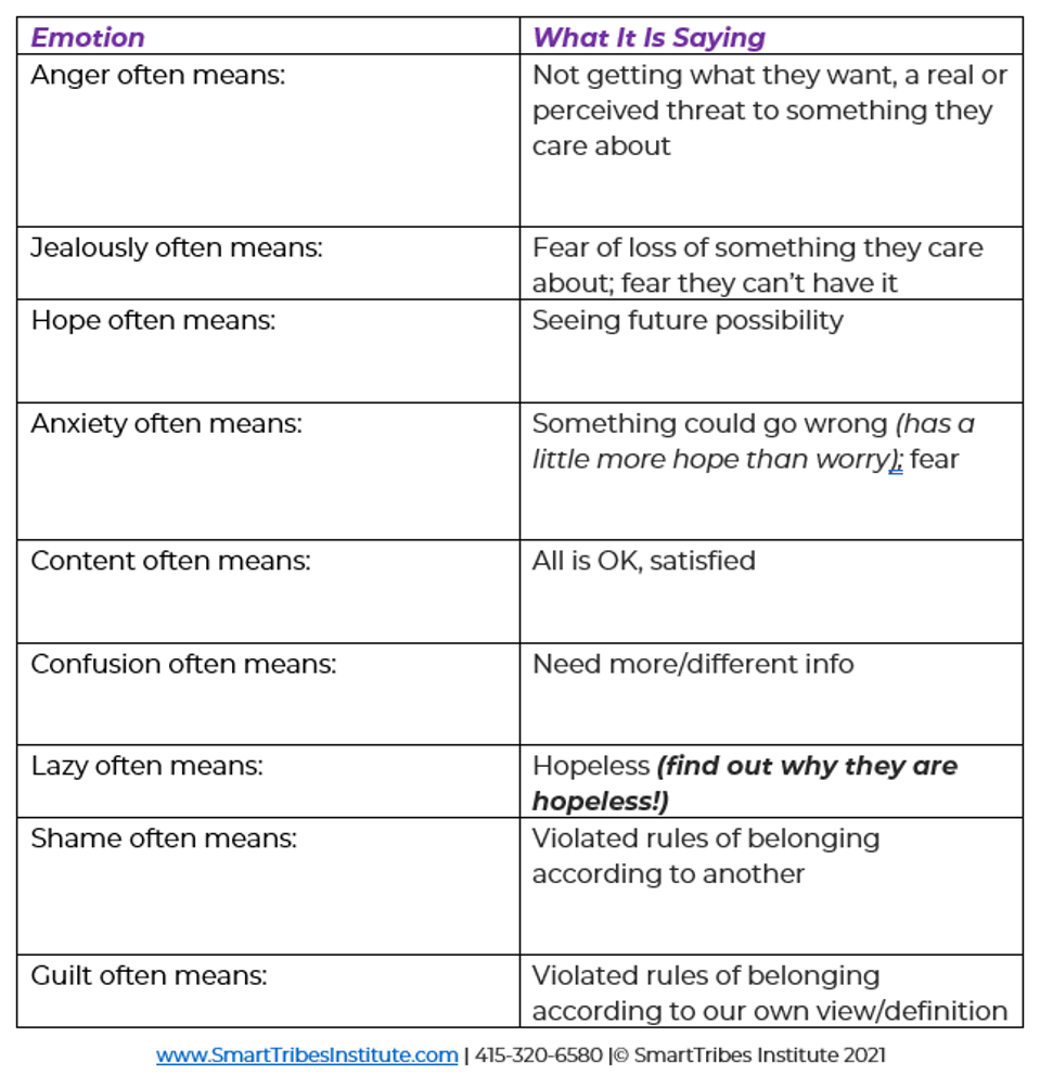 Emotions and What They Mean Chart - Anger, Jealousy, Hope, Anxiety, Content, Confusion etc