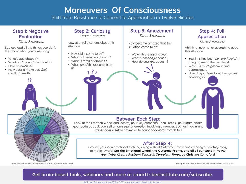 STI Maneuvers of Consciousness Infographic