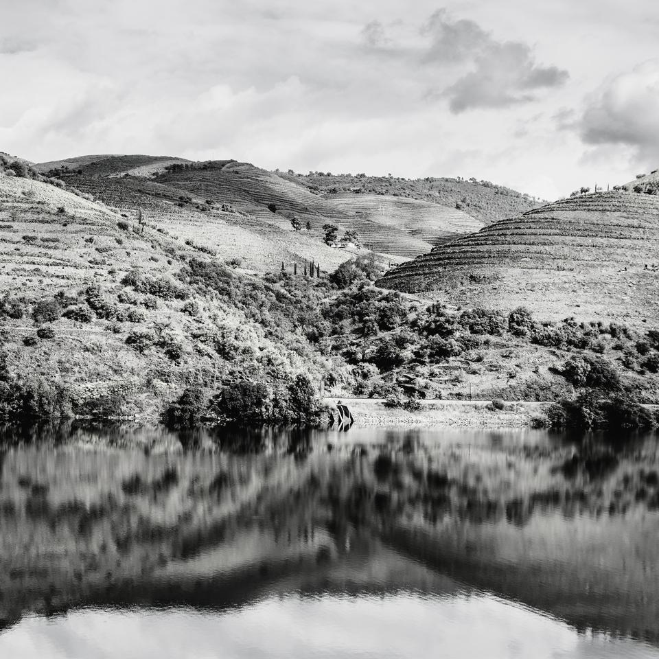 Portugal of grape and olive