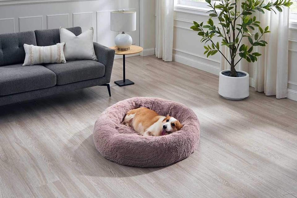 tuffy dog bed