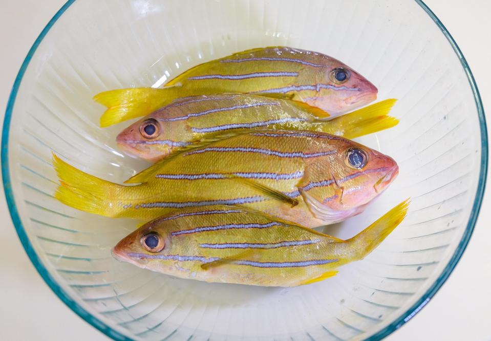 How This Hawaiian Fish Went From “Trash” To Sustainable Food Source