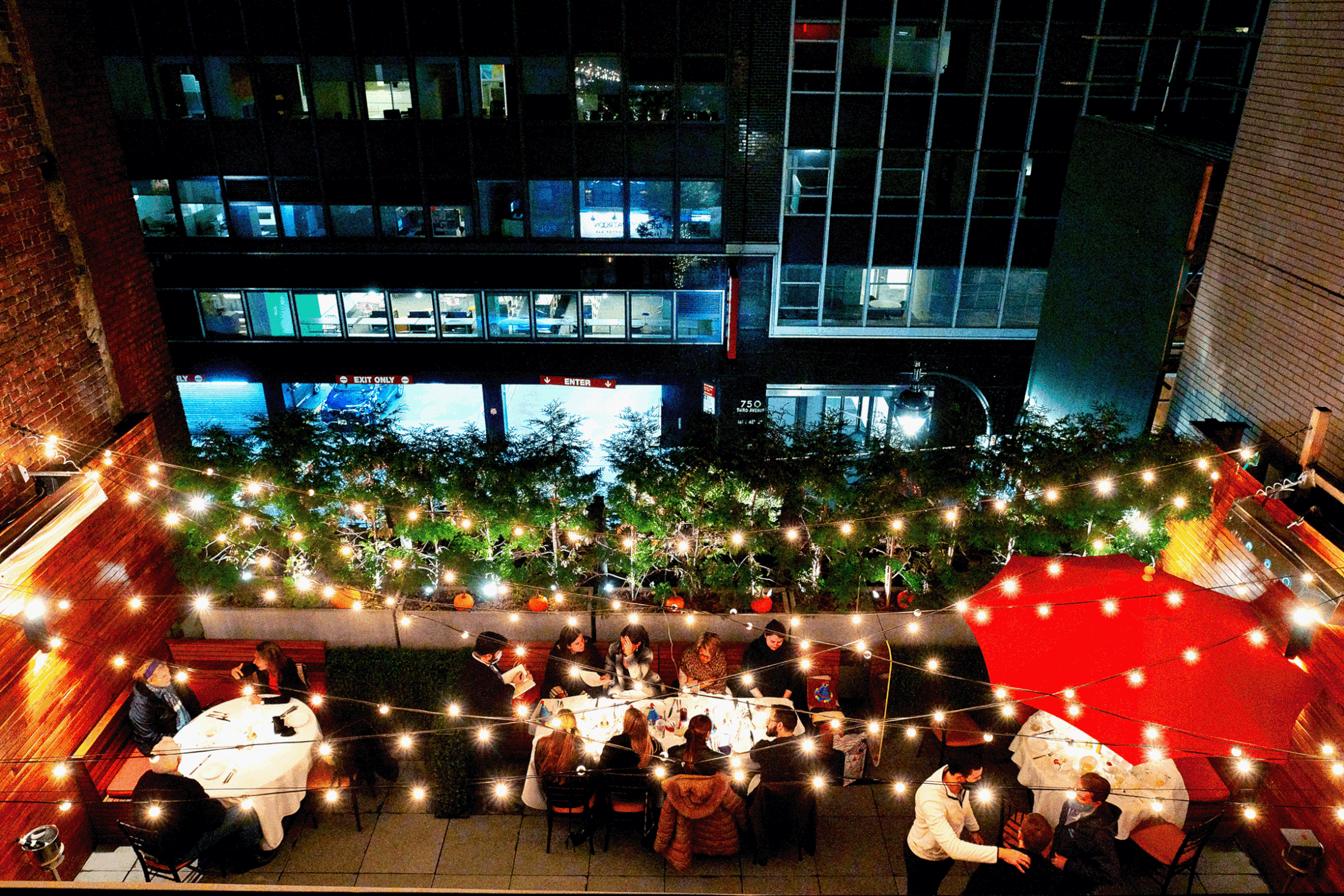 cut 114 Patroon by Gabby Jones for Forbes_744