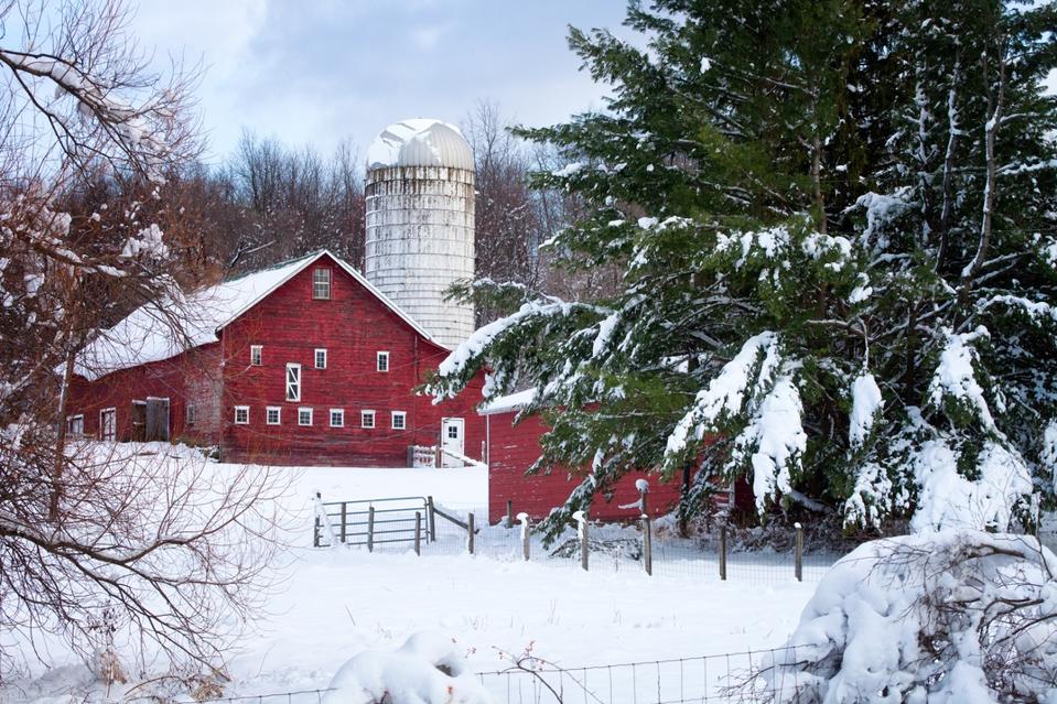 Red Barn and Silo, Early Winter