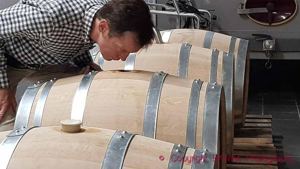 A visitor at Champagne Paul Launois sniffing one of the barrels with vin clair