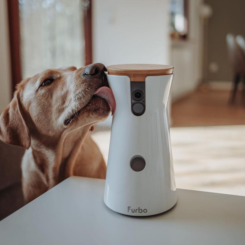 furbo dog camera app