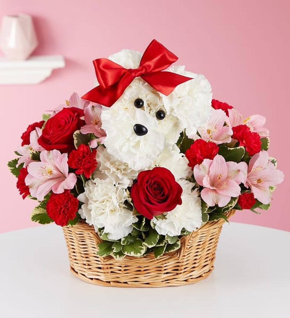 Best Flower Delivery Services 2023 - Forbes Vetted
