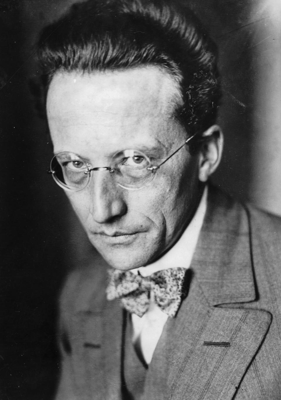 Young Erwin Schrodinger Erwin Schrödinger: Science And Humanism