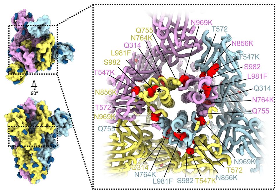 FIGURE 4