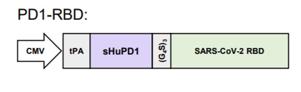 Screenshot 2022-01-31 112349