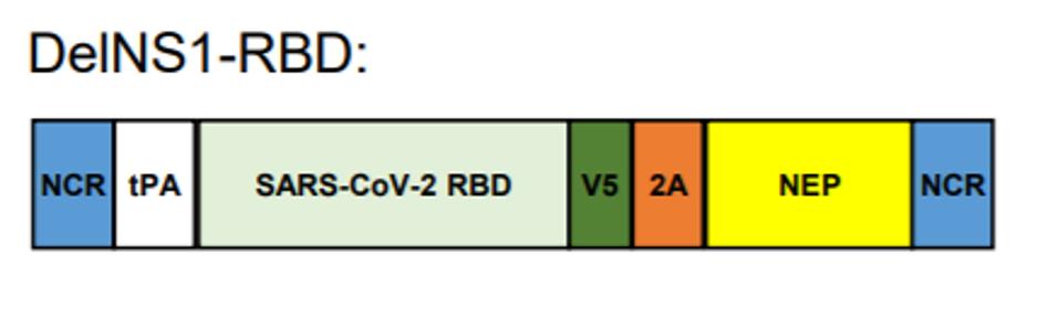 Screenshot 2022-01-31 112326