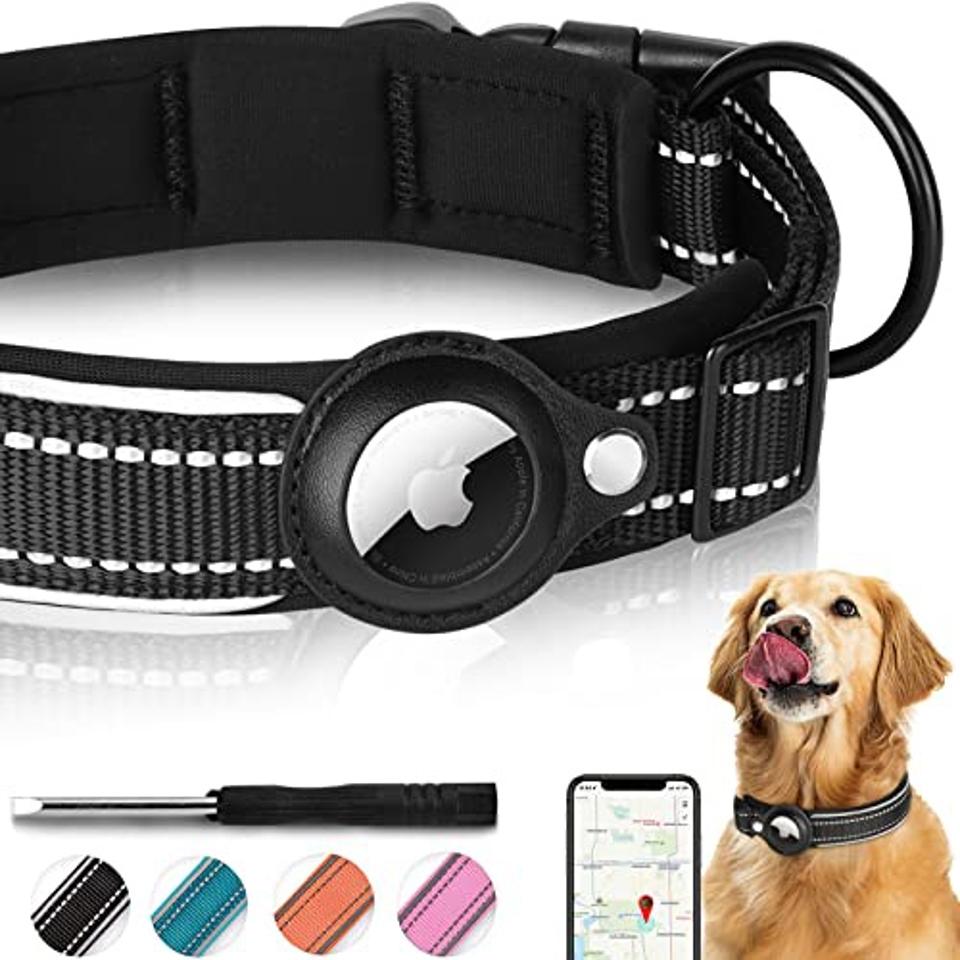 apple tag for pets