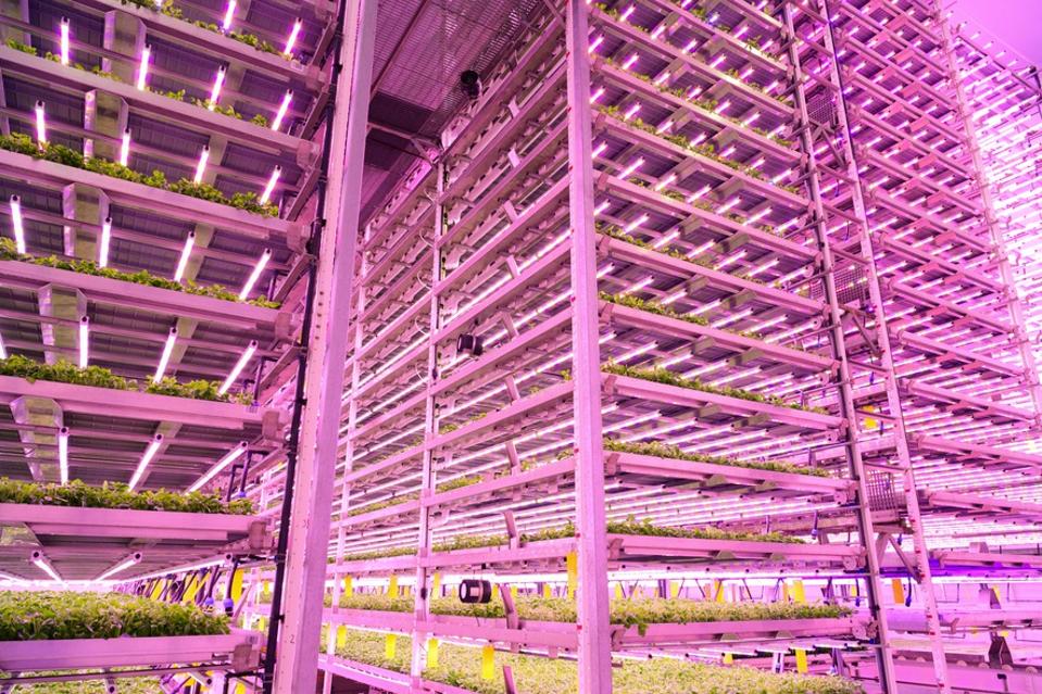 Innovative architecture positioning herbs for optimal growth