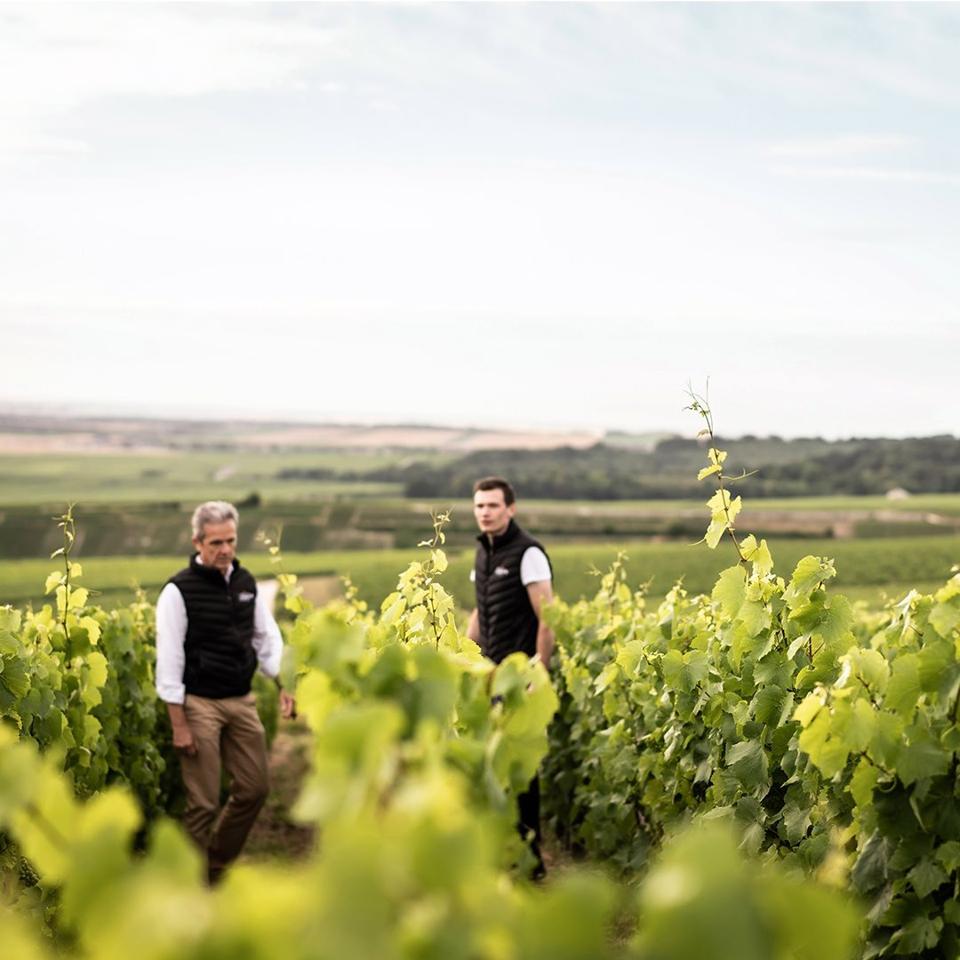 Winemaker Hervé Dantan, on the left, in the vineyards  Photo Credit Champagne Lanson