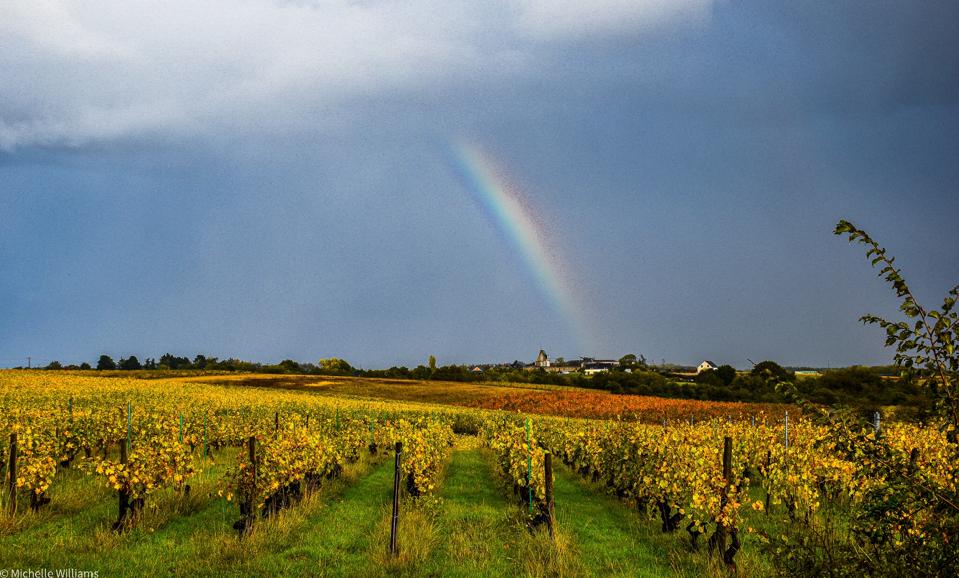 Rainbow over Chateau Souchie vineyards