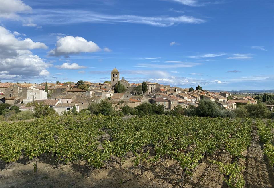 vincole offeres WSET wine courses in its Languedoc locale