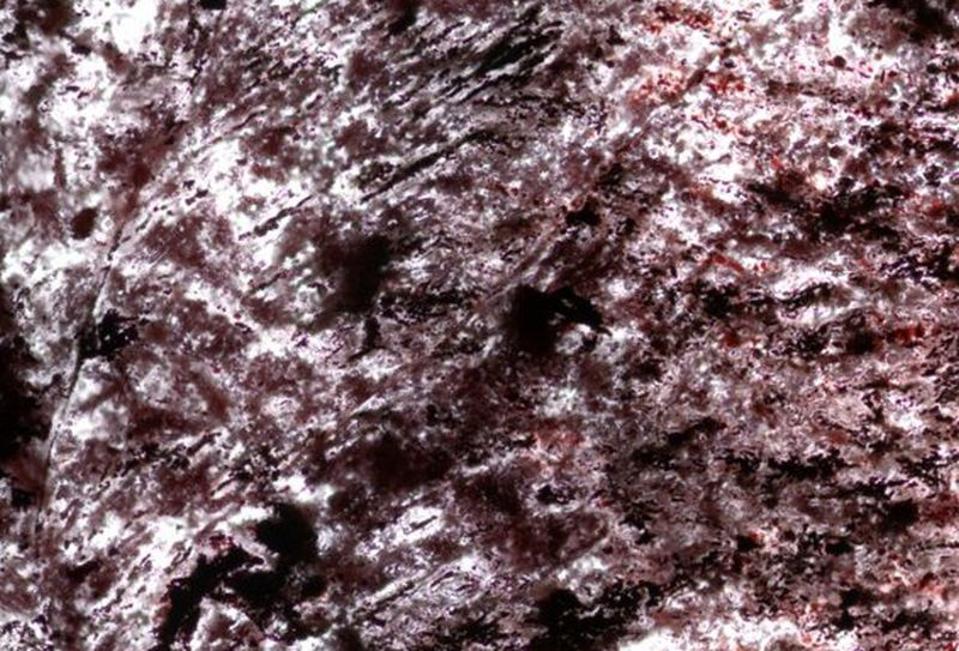 Oldest Microfossils On Earth Found In Canada