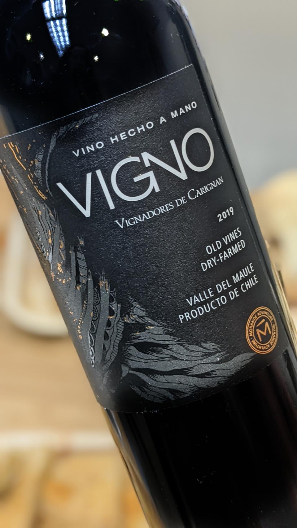 2019 Morandé VIGNO Photo Credit Cathrine Todd