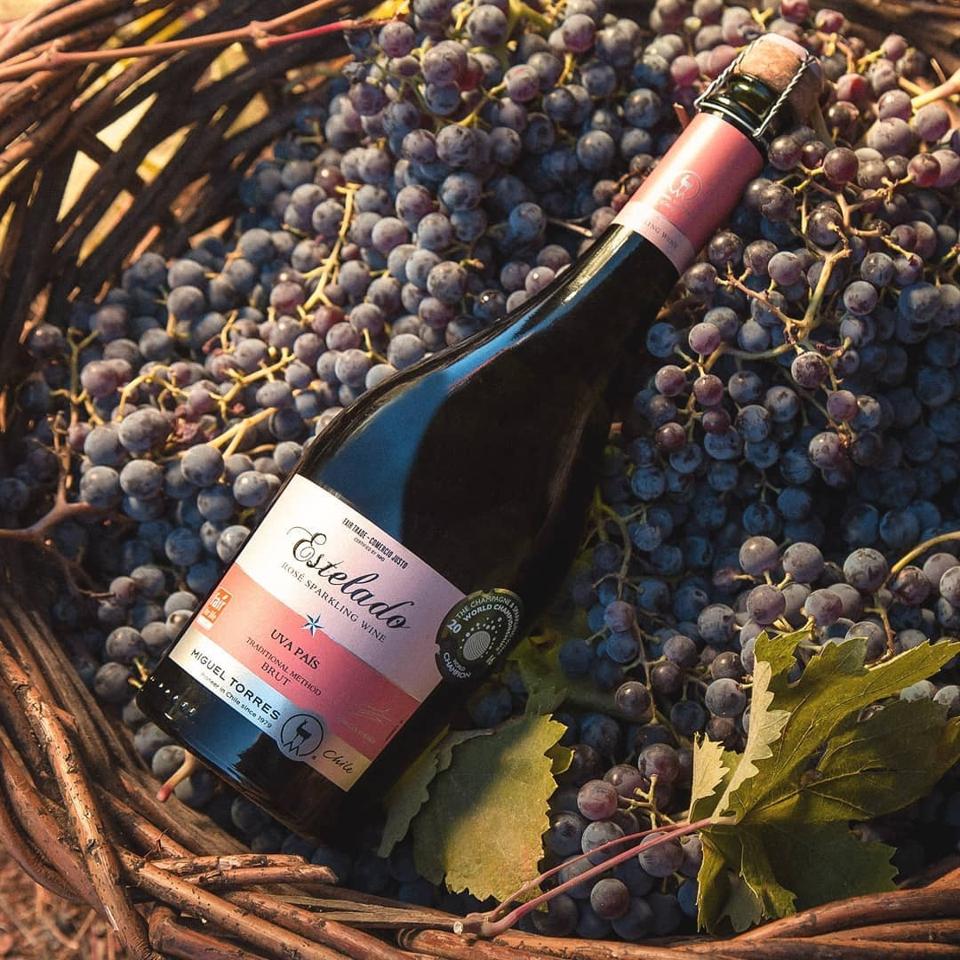 2018 Miguel Torres, ‘Estelado’ Traditional Method Sparkling Brut Rosé Photo Credit Miguel Torres Chile