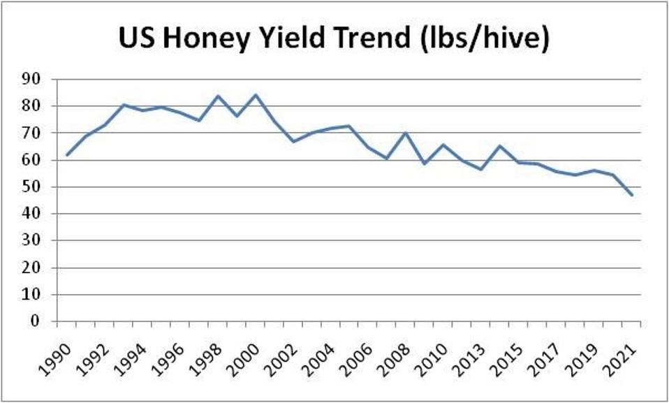 Honey Yield Trend