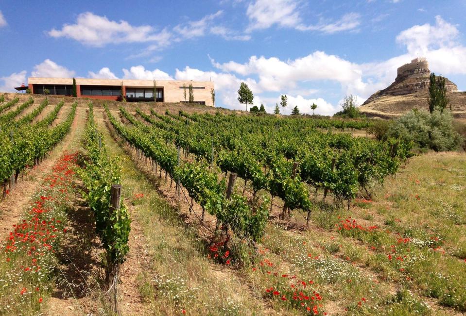 Bodegas Comenge estate  Photo Credit Bodegas Comenge