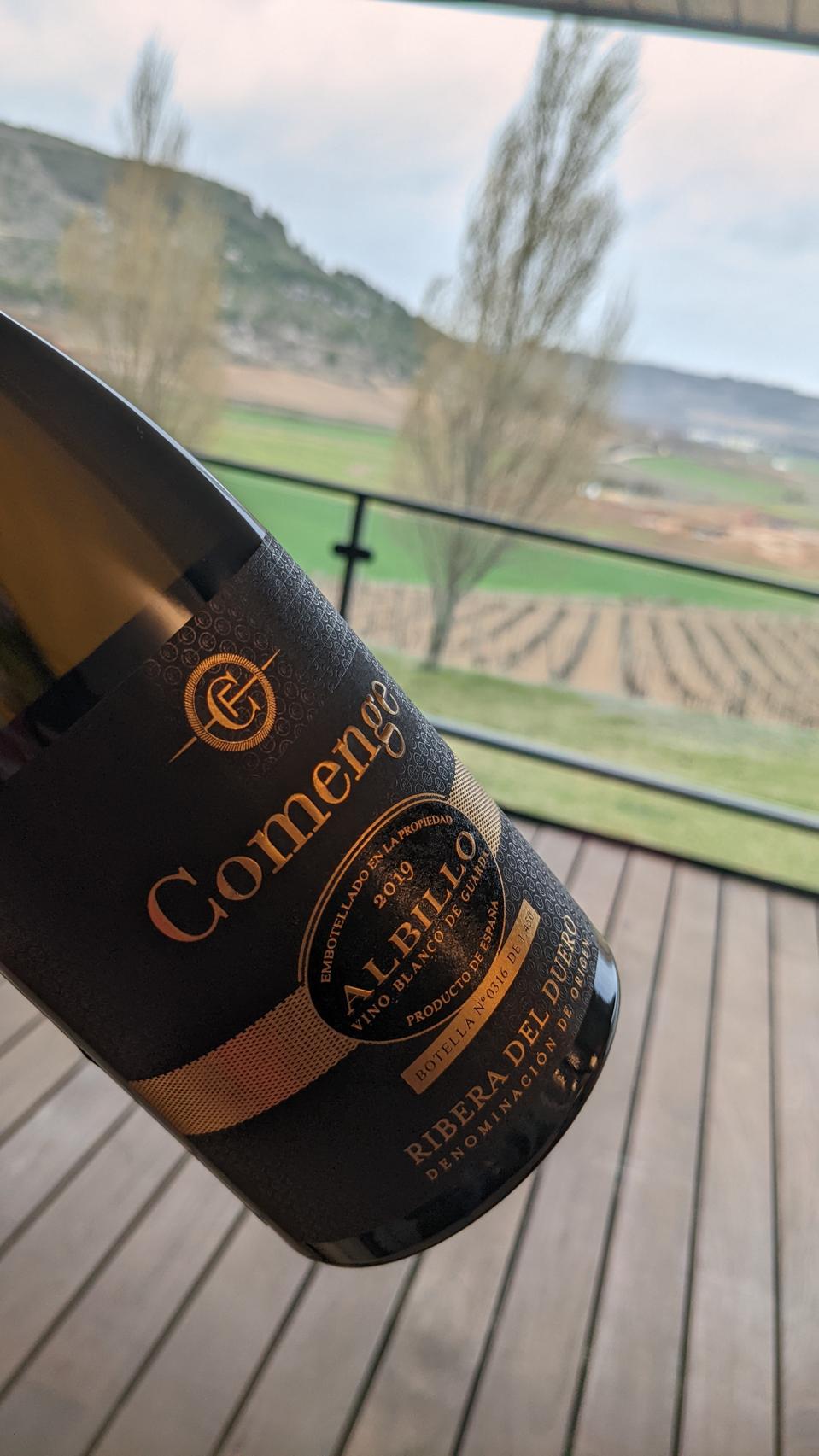 2019 Comenge, Albillo Photo Credit Cathrine Todd