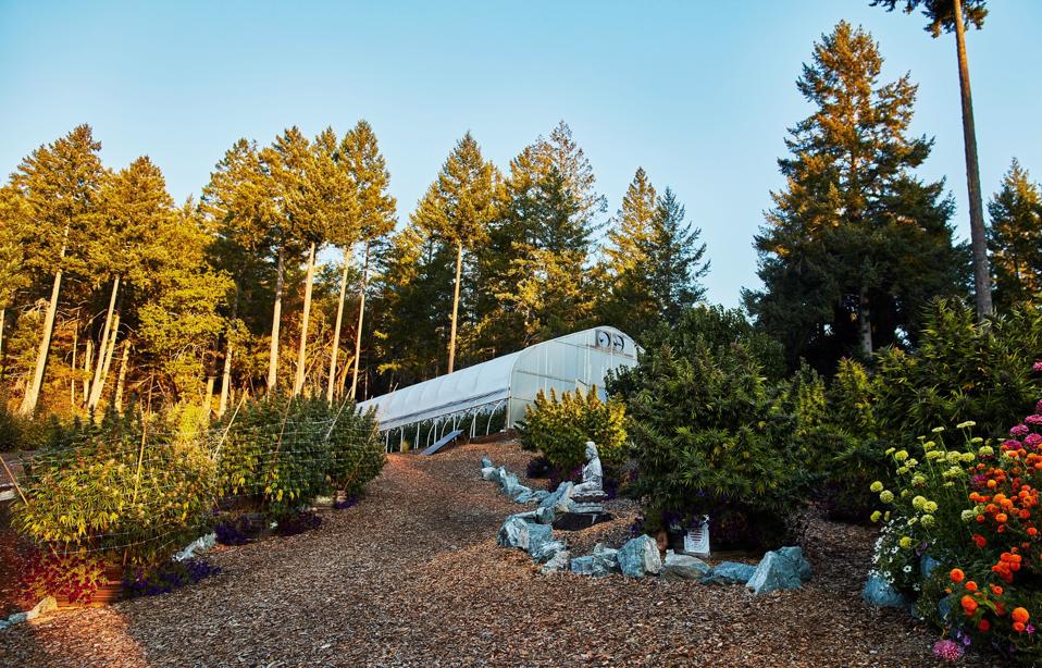 Huckleberry Hill Farms On What's At Stake For Legacy Cannabis Growers