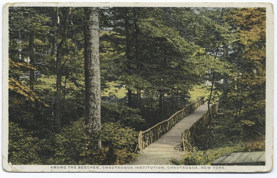 Path Though Beech Forest